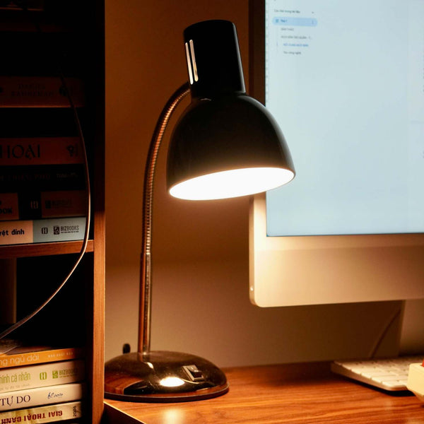 Lighting & Desk Lamps